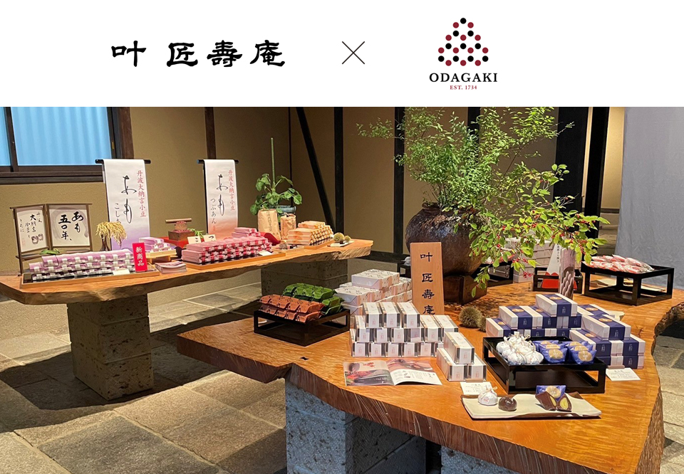 最高級ブランド　清秀　有古堂　葉山　他　食器なんと19枚まとめて！赤字大処分 十四代 角新本丸1800✖️2本 十四代-角新-本丸-